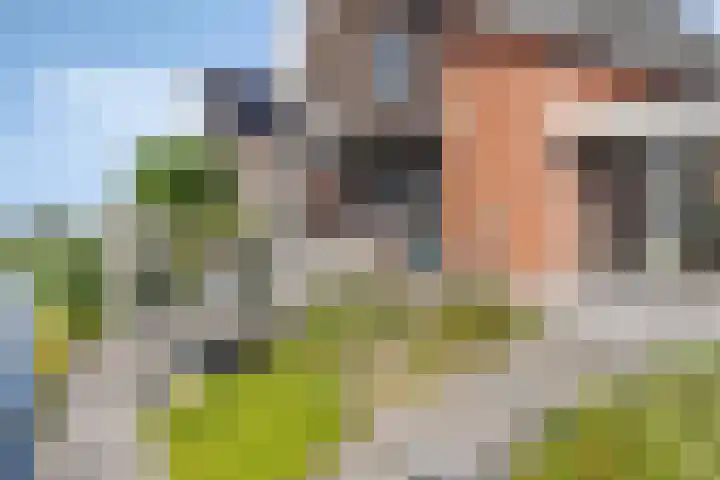 Lisdodde 1 Meppel thumbnail 35