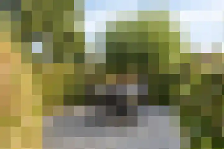 Lisdodde 1 Meppel thumbnail 38