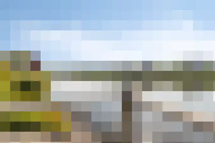 Lisdodde 1 Meppel thumbnail 40