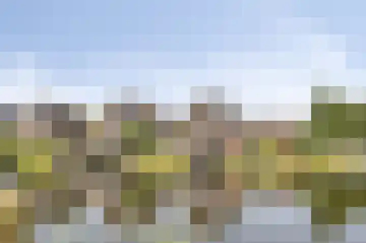 Lisdodde 1 Meppel thumbnail 41
