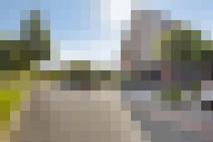 Lisdodde 1 Meppel thumbnail 42