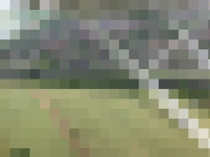 Lisdodde 1 Meppel thumbnail 46