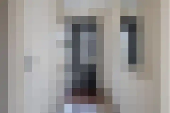 Lisdodde 1 Meppel thumbnail 5