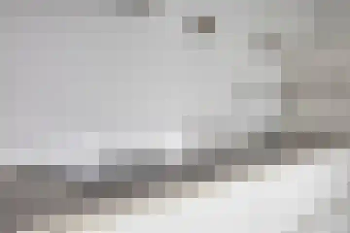 Lisdodde 15 301 Boxtel thumbnail 18