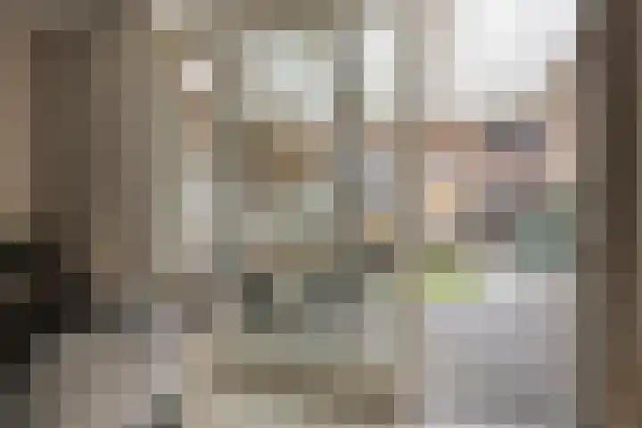 Lisdodde 16 Breda thumbnail 12