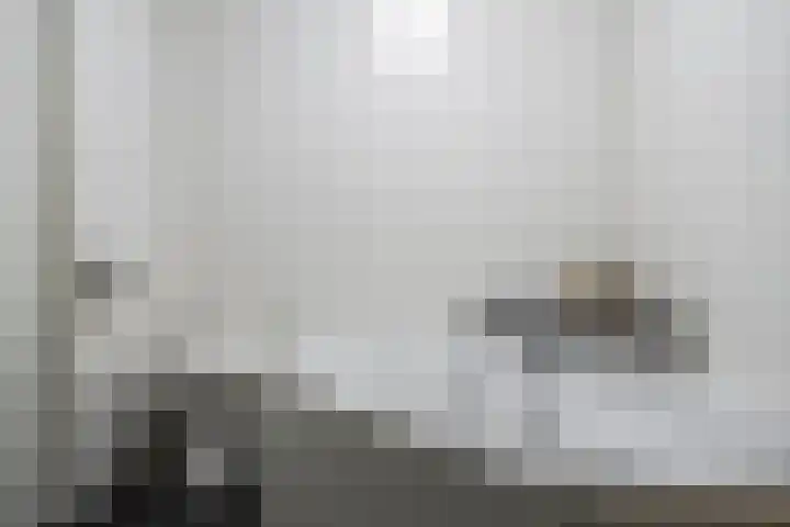 Lisdodde 16 Breda thumbnail 23