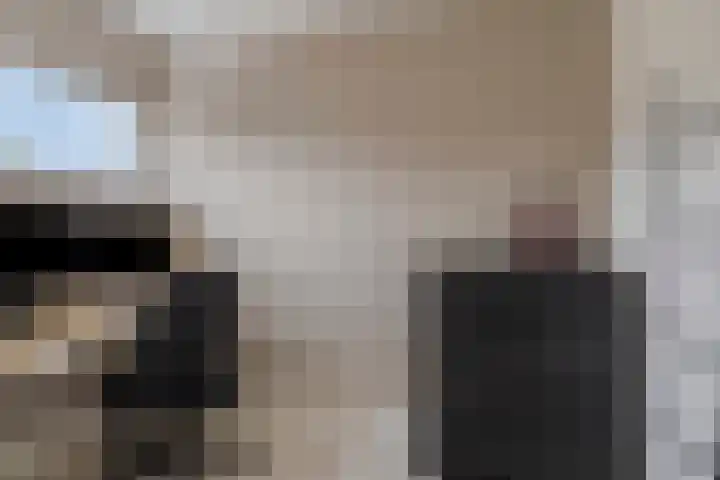 Lisdodde 16 Breda thumbnail 30