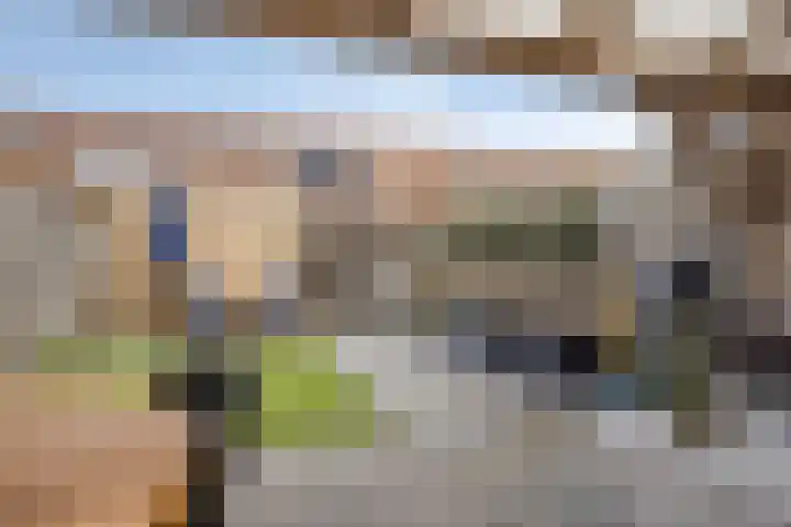 Lisdodde 16 Breda thumbnail 33