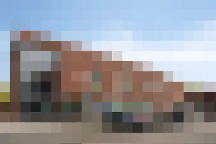 Lisdodde 16 Breda thumbnail 38
