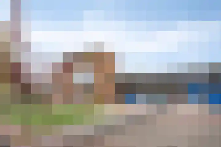 Lisdodde 16 Breda thumbnail 39