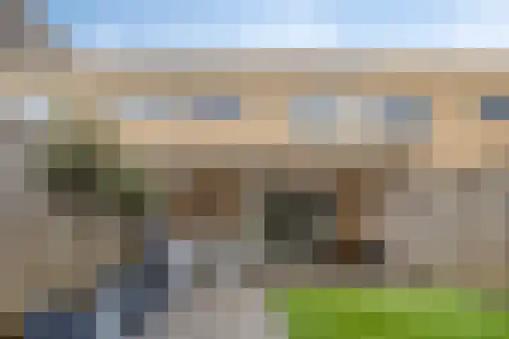 Lisdodde 16 Breda thumbnail 4