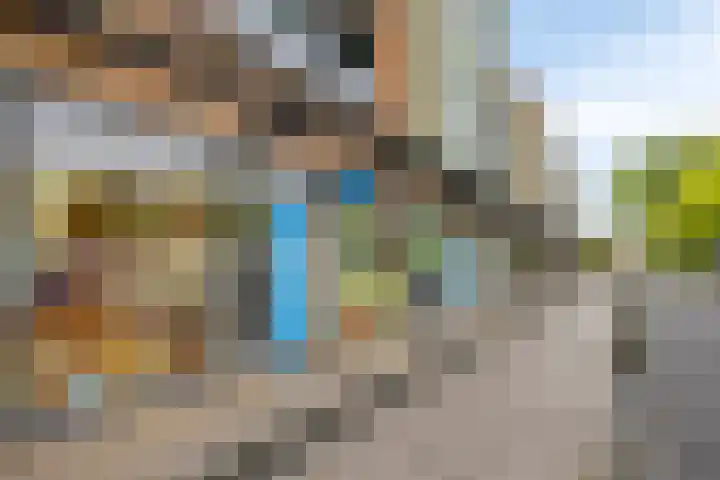 Lisdodde 16 Breda thumbnail 42