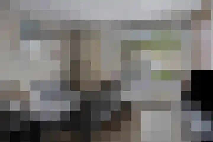 Lisdodde 16 Breda thumbnail 9