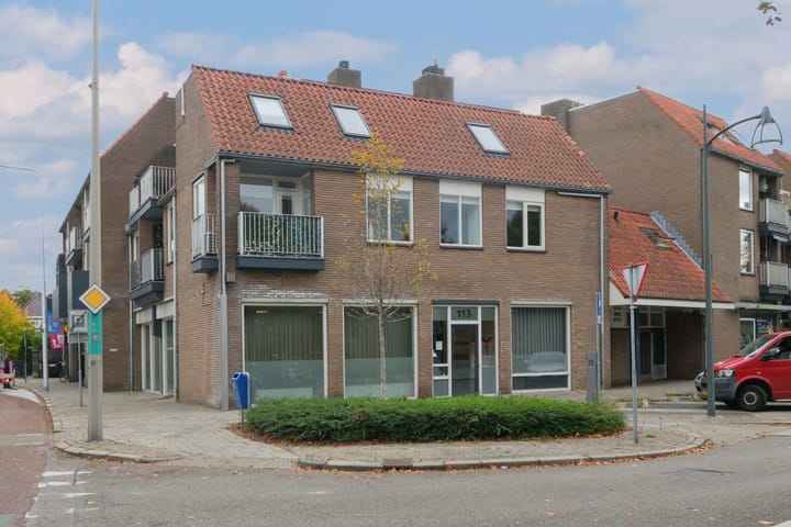 Lisdodde 2 in Almelo