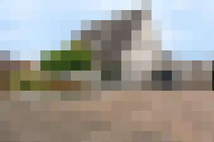 Lisdodde 21 Scheemda