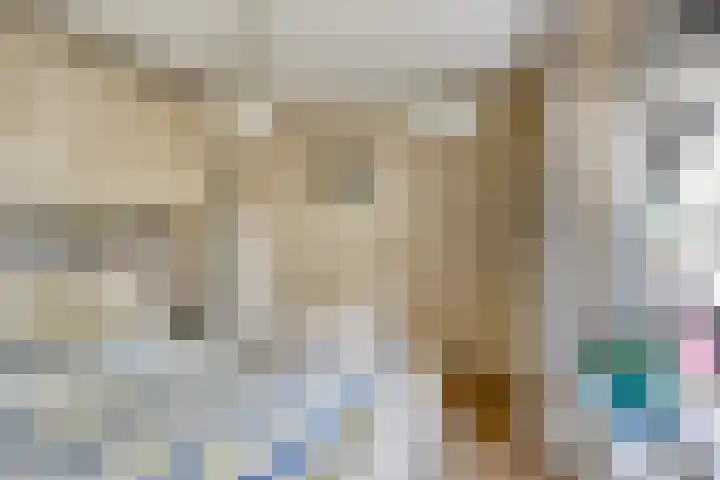 Lisdodde 22 Kampen thumbnail 11