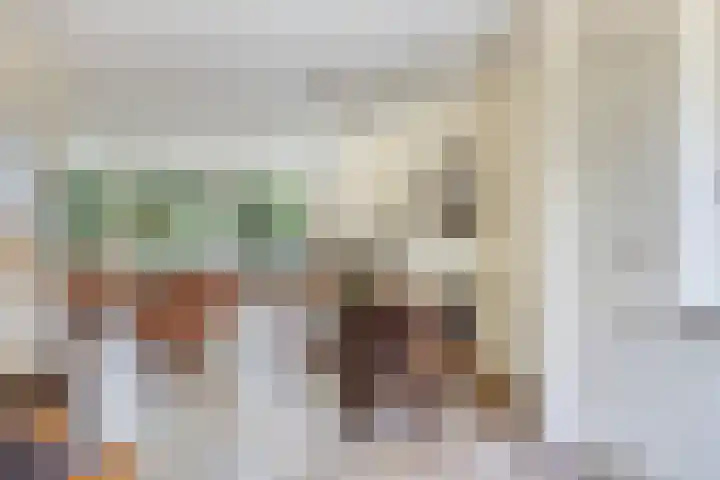 Lisdodde 22 Kampen thumbnail 16