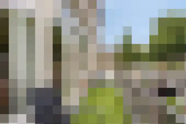 Lisdodde 22 Kampen thumbnail 27