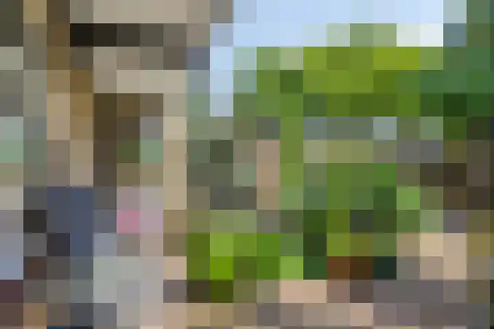 Lisdodde 22 Kampen thumbnail 29
