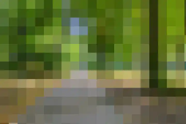 Lisdodde 22 Kampen thumbnail 41