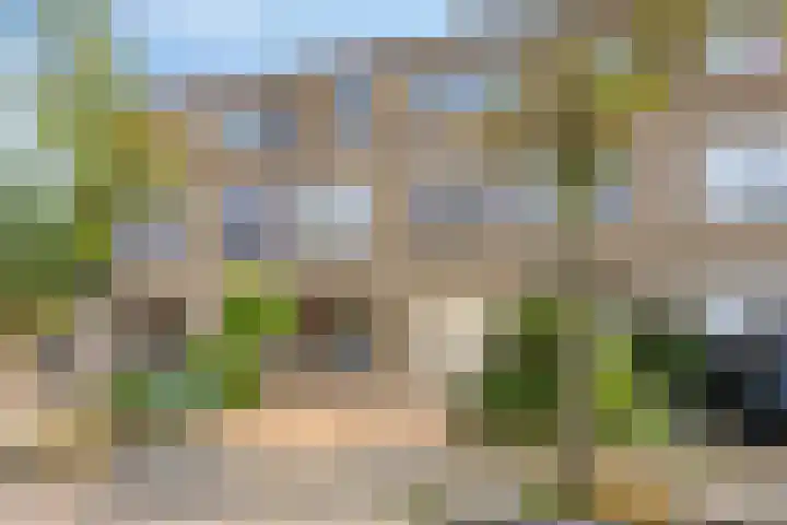 Lisdodde 22 Kampen thumbnail 5
