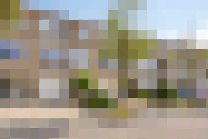 Lisdodde 22 Kampen thumbnail 6