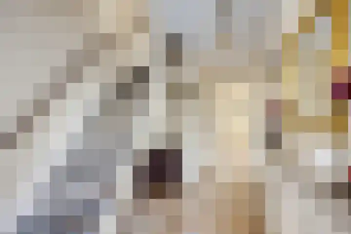 Lisdodde 22 Kampen thumbnail 8
