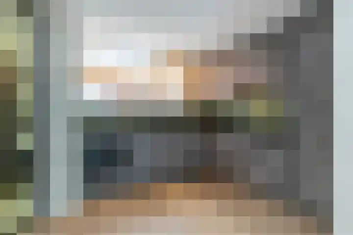Lisdodde 28 Naaldwijk thumbnail 15