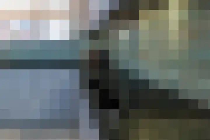 Lisdodde 28 Naaldwijk thumbnail 17