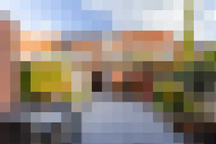 Lisdodde 28 Naaldwijk thumbnail 23