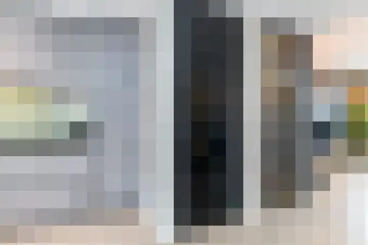 Lisdodde 28 Naaldwijk thumbnail 24