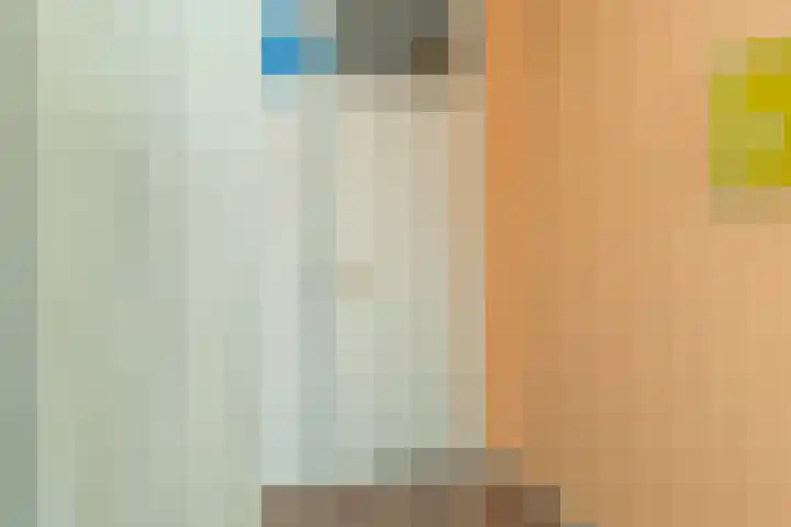 Lisdodde 28 Naaldwijk thumbnail 30
