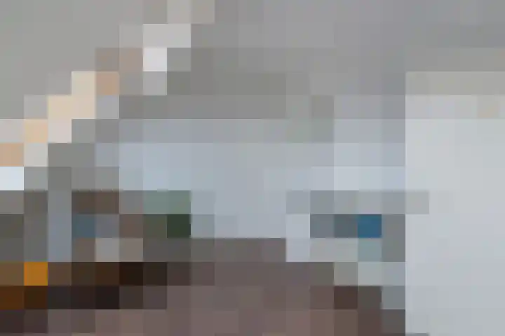 Lisdodde 28 Naaldwijk thumbnail 46