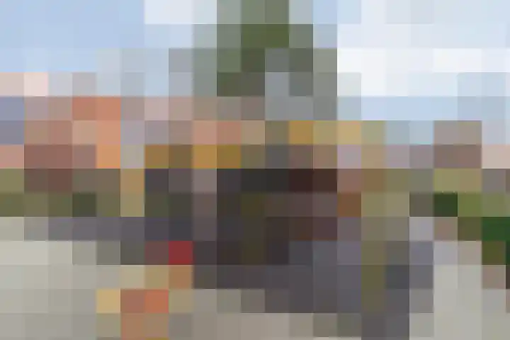 Lisdodde 28 Naaldwijk thumbnail 58