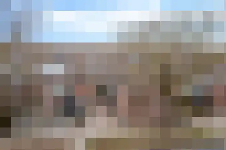 Lisdodde 5 Sneek