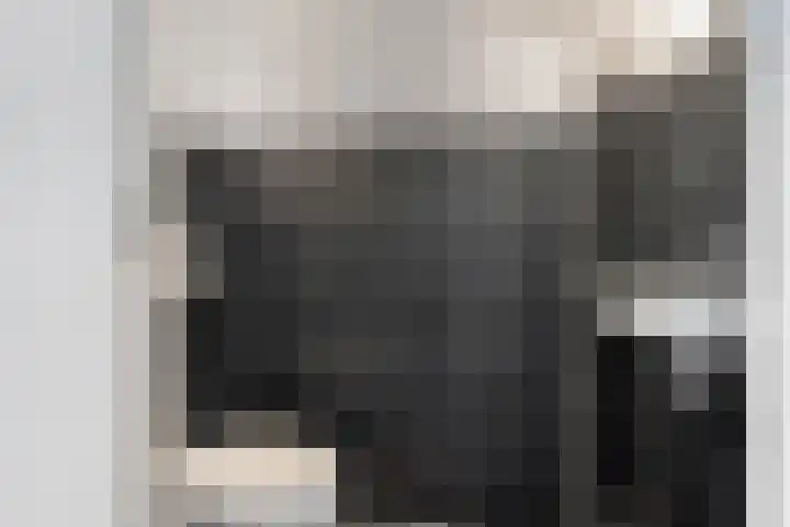 Lisdodde 5 Sneek thumbnail 12