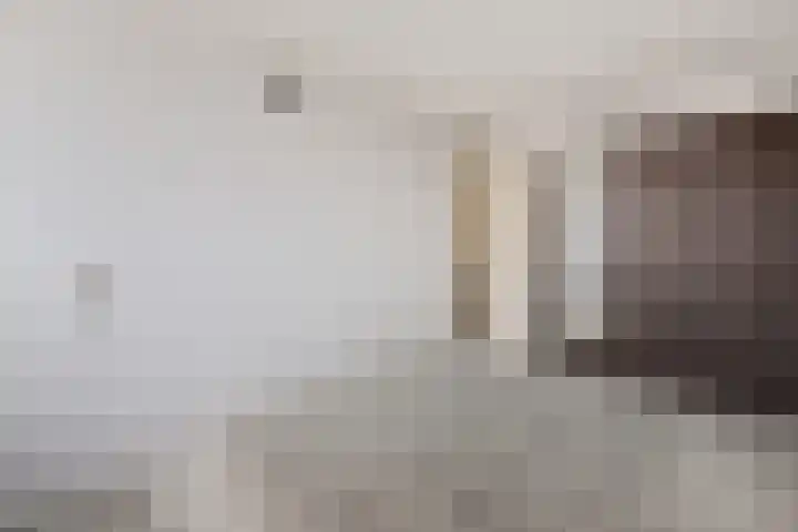 Lisdodde 5 Sneek thumbnail 18