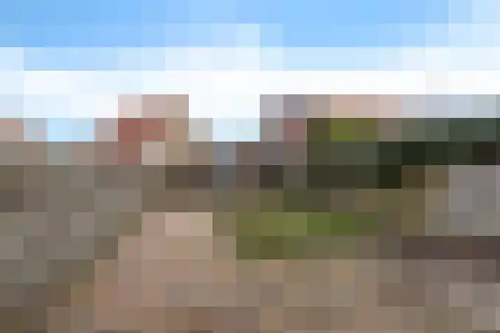 Lisdodde 5 Sneek thumbnail 22
