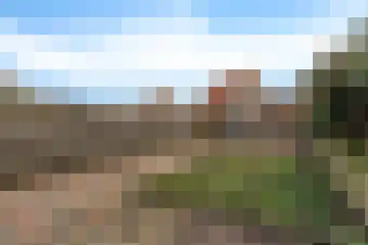 Lisdodde 5 Sneek thumbnail 23
