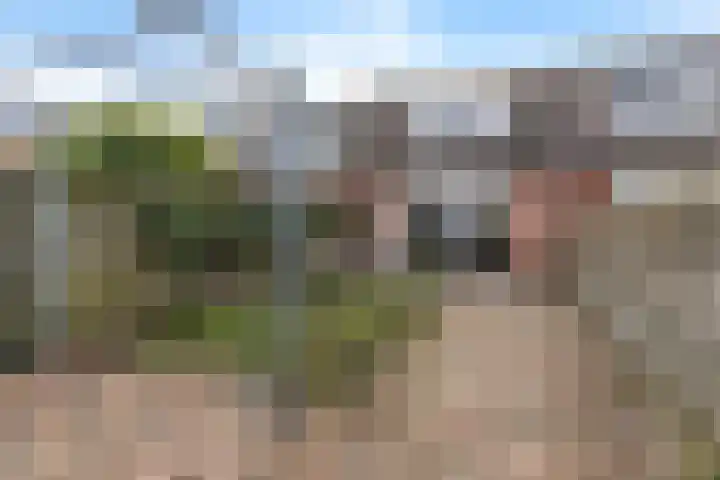 Lisdodde 5 Sneek thumbnail 25