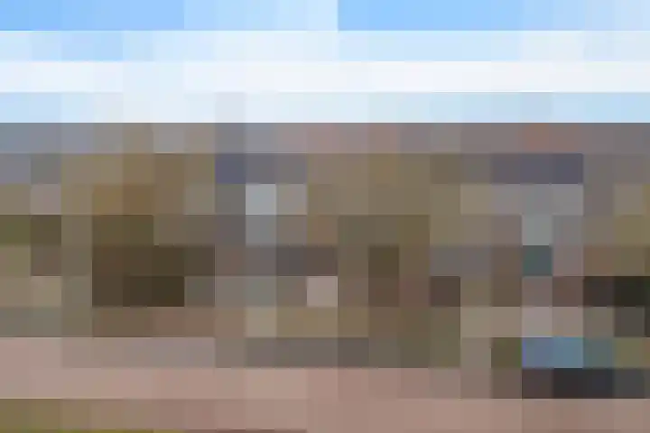 Lisdodde 5 Sneek thumbnail 28