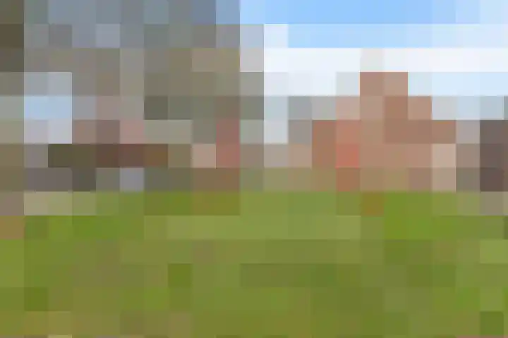 Lisdodde 5 Sneek thumbnail 29