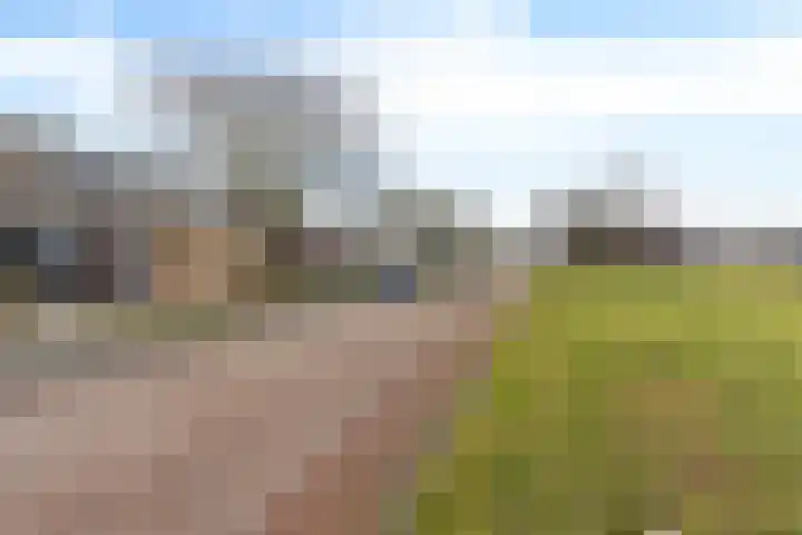 Lisdodde 5 Sneek thumbnail 35