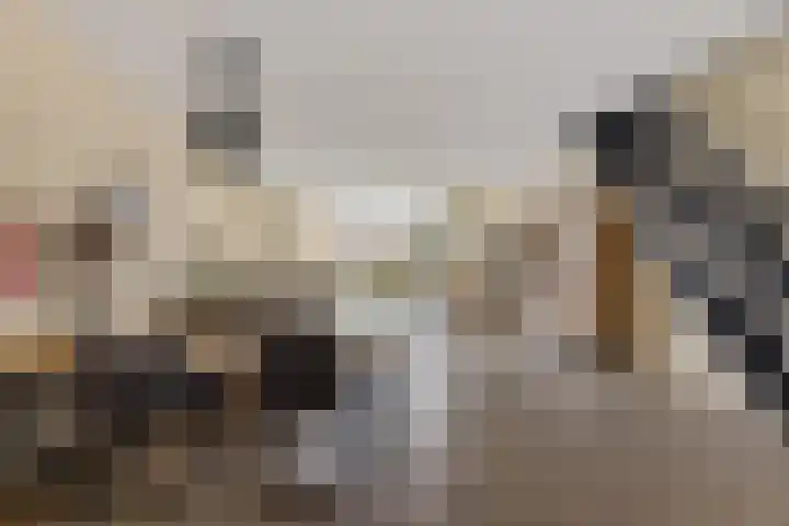 Lisdodde 5 Sneek thumbnail 4