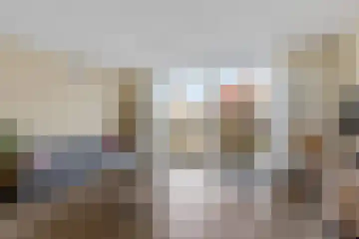 Lisdodde 5 Sneek thumbnail 6