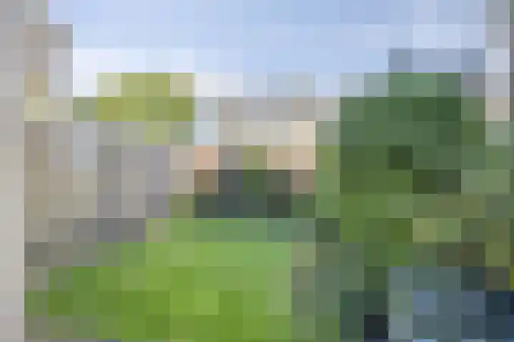 Lisdodde 6 Kampen thumbnail 21