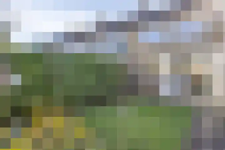 Lisdodde 6 Kampen thumbnail 22
