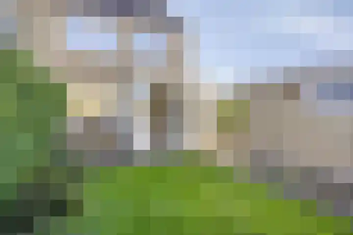 Lisdodde 6 Kampen thumbnail 24