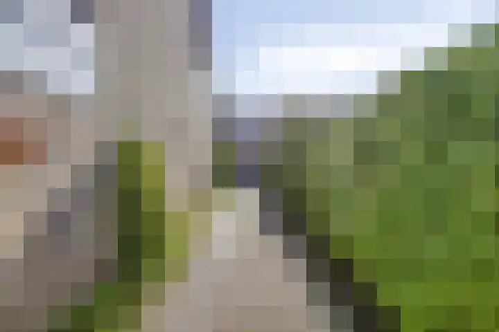 Lisdodde 6 Kampen thumbnail 25