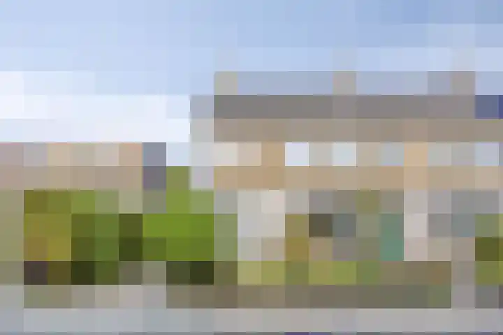 Lisdodde 6 Kampen thumbnail 27